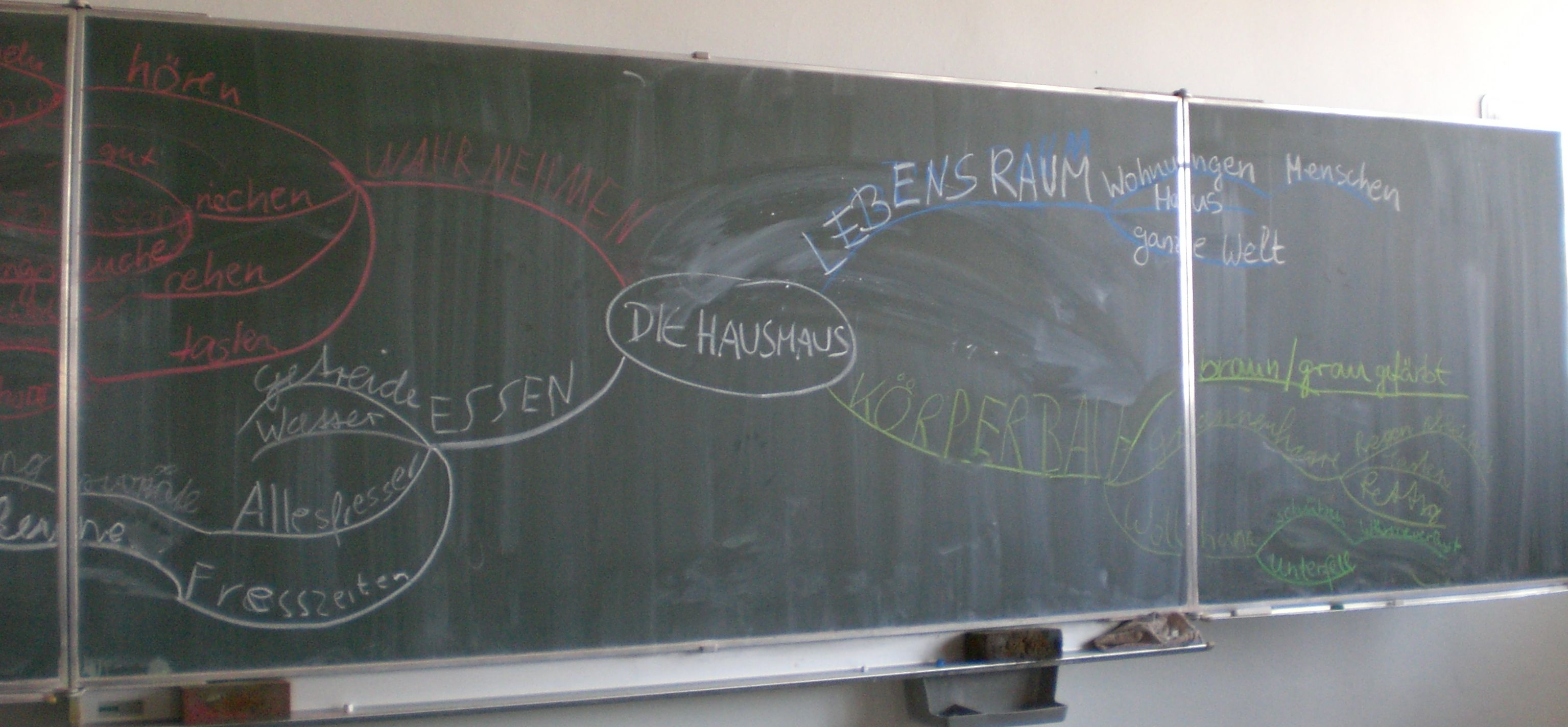 Klassenraum Tafel mit Mind Map "Hausmaus"; L.Ö.W.E.-Projekt